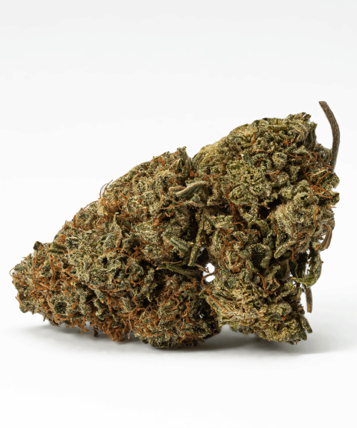 Jack Herer (AA)