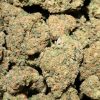 Durban Poison (AAA+)