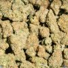 Durban Poison (AAA+)