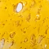 House Shatter - Purple Candy (Hybrid)