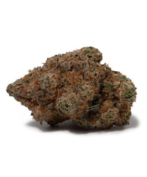 Bruce Banner (AAAAA+/Craft)