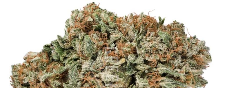 Best Weed Strains For Sleep