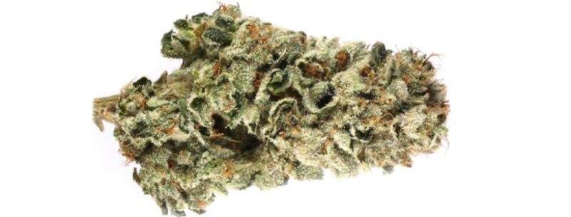 Best Weed Strains For Sleep