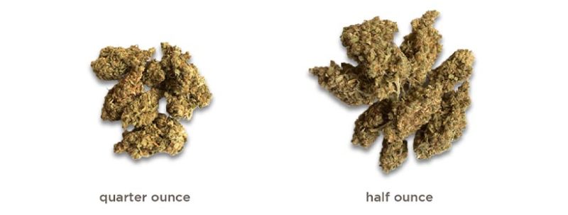 Cannabis Measurements To Know