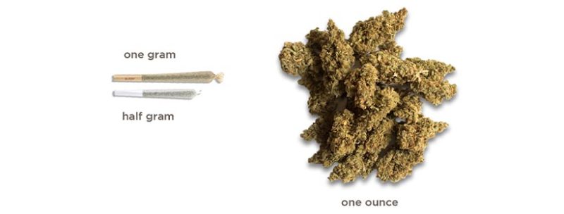 Cannabis Measurements To Know