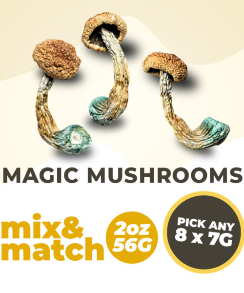 Magic Mushrooms Mix & Match - 56g