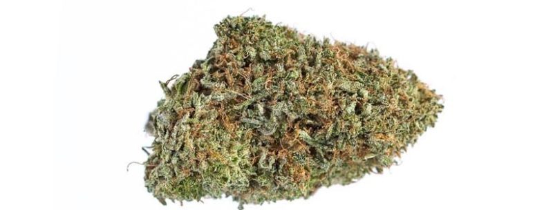 Best White Marijuana Strains in the World