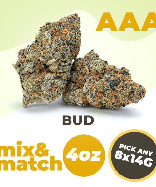 AAA 4 oz 8x14g Mix and Match