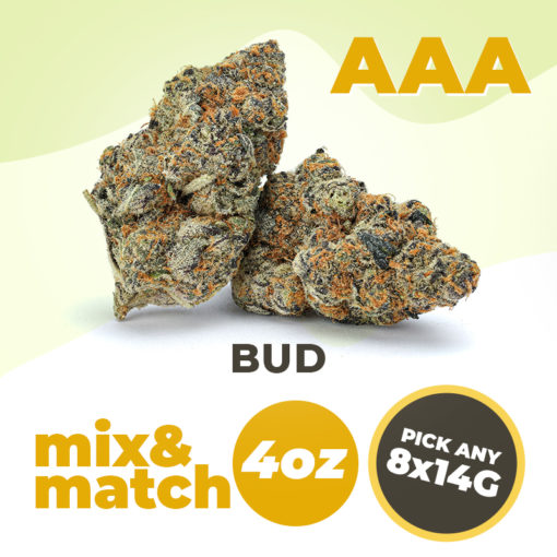 AAA 4 oz 8x14g Mix and Match