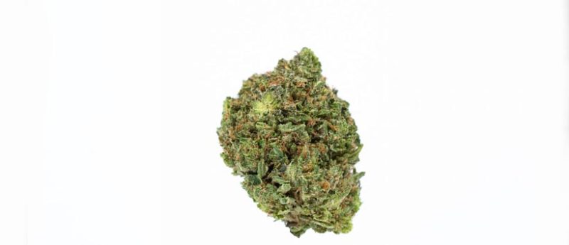 Top Indica Weed Strains