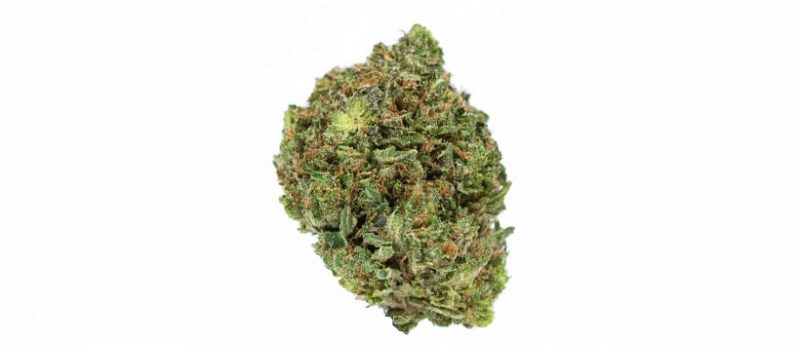 Best Canadian Weed Strains