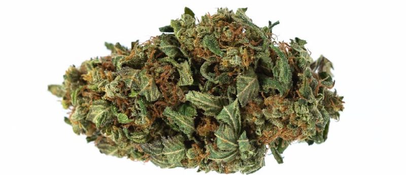 Top 10 Kush Weed Strains