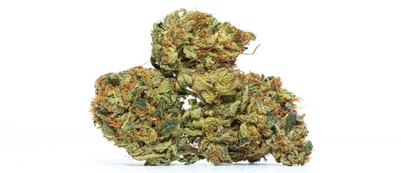 Top 10 Kush Weed Strains