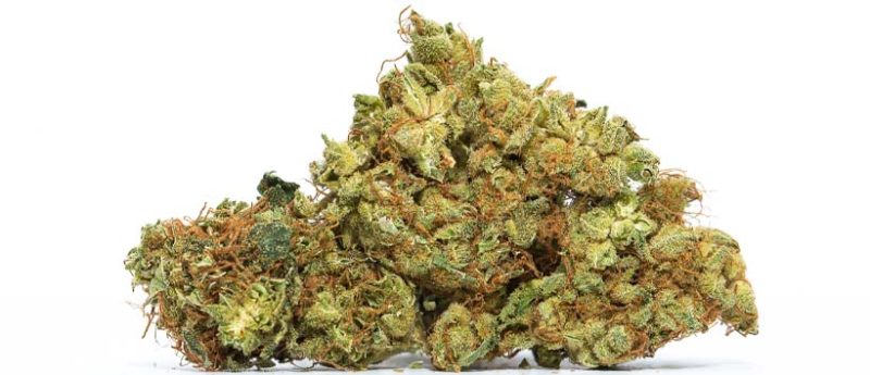 Top 10 Kush Weed Strains