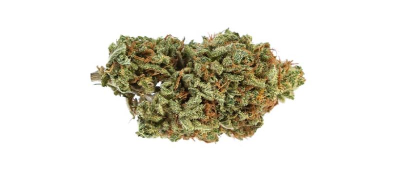 Best Canadian Weed Strains