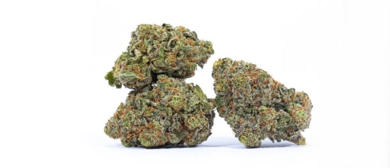 Most Popular Weed Strains in Canada