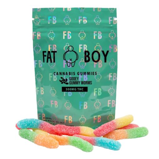 Fat Boy Gummies - Gooey Gummy Worms