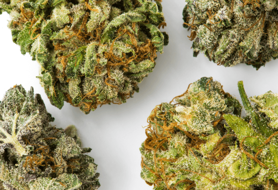 Top 5 Best Under the Radar Cannabis Strains 