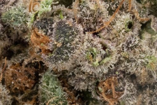 Strawberry Cough (AAAA)
