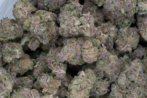 Strawberry Cough (AAAA)