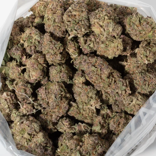 Strawberry Cough (AAAA)