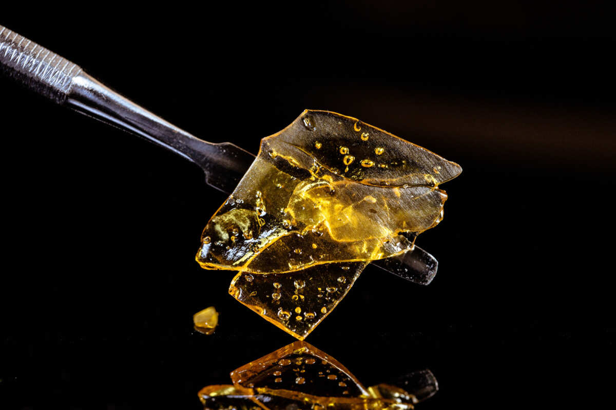 How Does Cannabis Shatter Compare to Conventional Marijuana?
