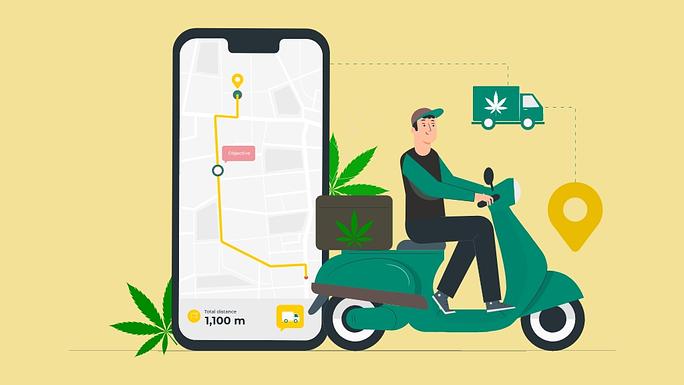 What is the Best Weed Shop Near Me? 