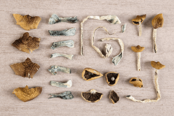 Why are Shrooms So Popular in Canada?