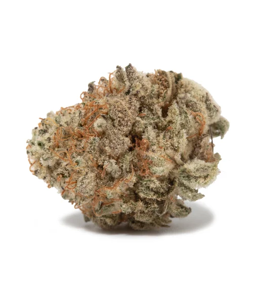 Goji OG (AAA)