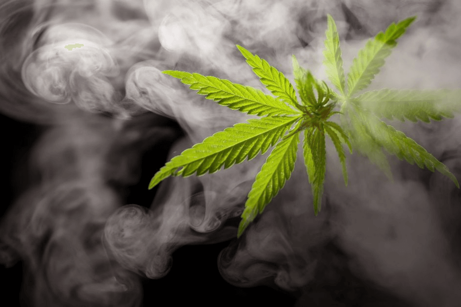 What are the Different Scents of Marijuana?