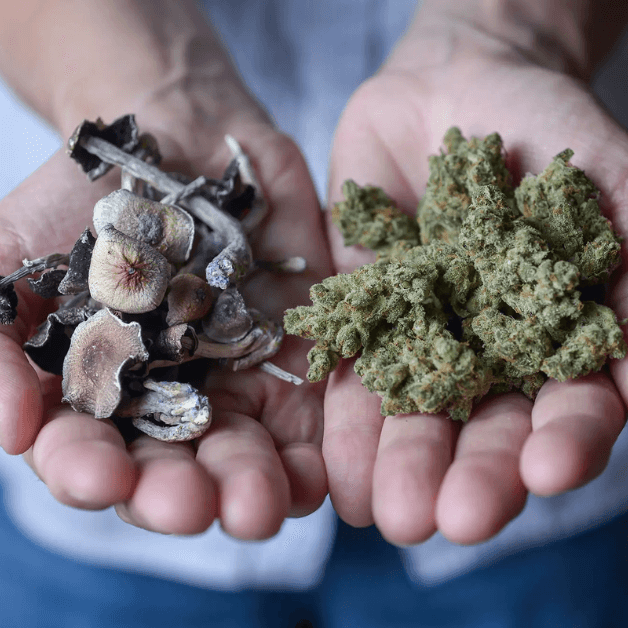 How Do Weed and Shrooms Compare?