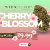 Buy 1 OZ OF Cherry Blossom