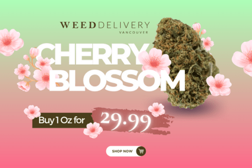 Buy 1 OZ OF Cherry Blossom
