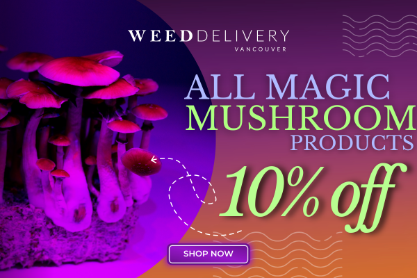 10% Off Magic Mushroom Promo Banner