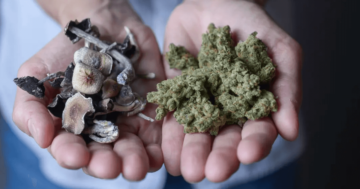 Is It Good to Take Weed For Insomnia?