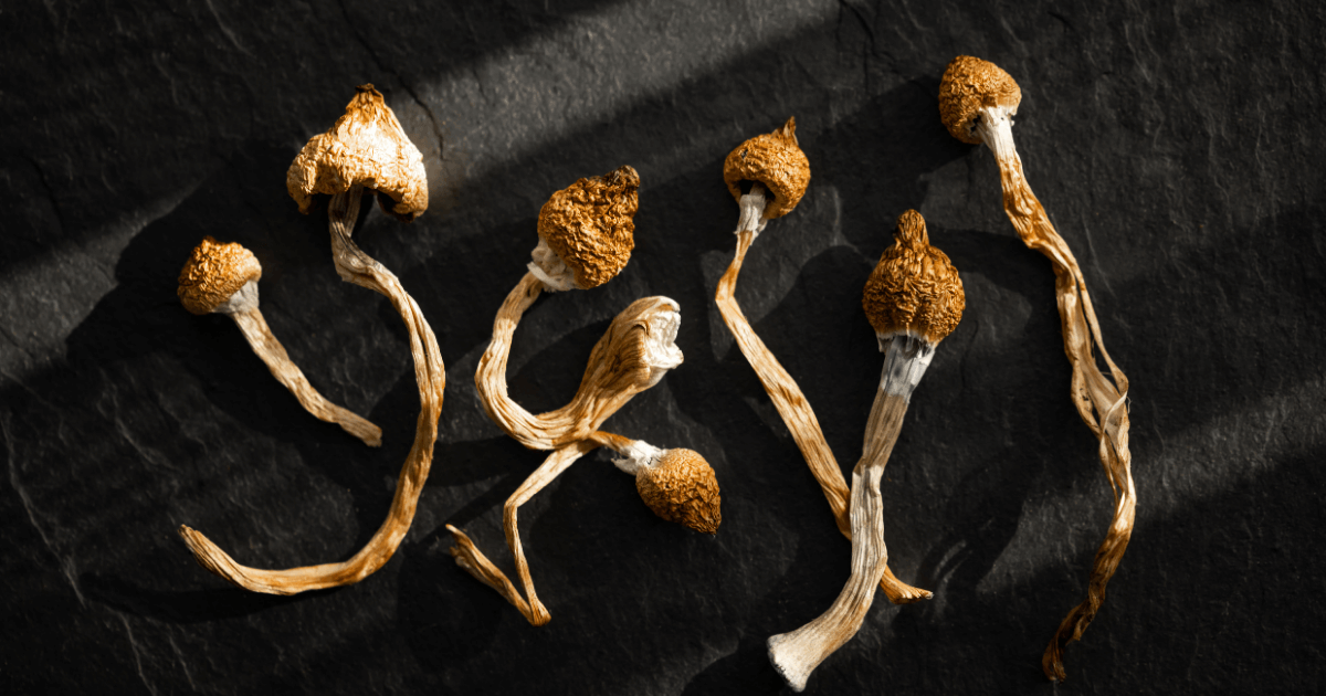 What Happens if You Smoke Shrooms?