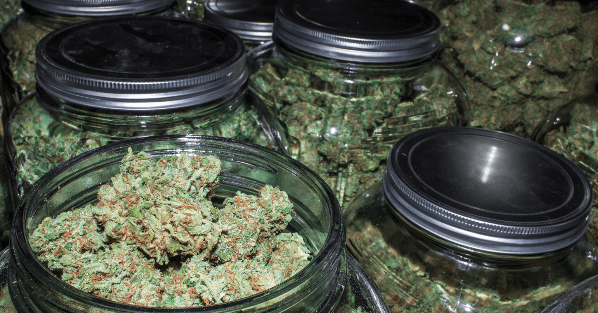 What is Wholesale Weed?
