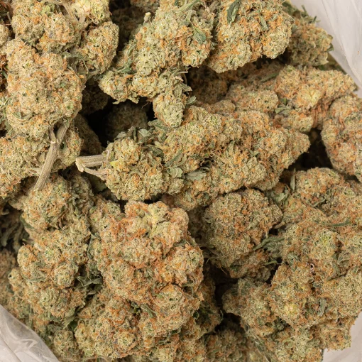 Lemon Haze (AAAA)