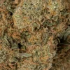 Lemon Haze (AAAA)