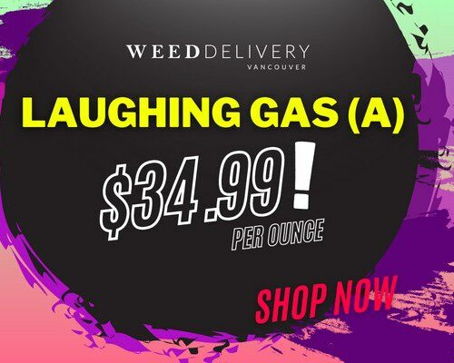 Laughing Gas Promo WDV - Mobile