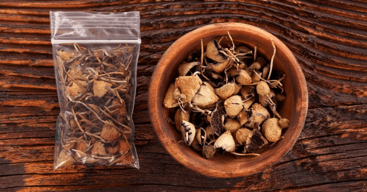 Why Buy Magic Mushrooms Online in Vancouver?