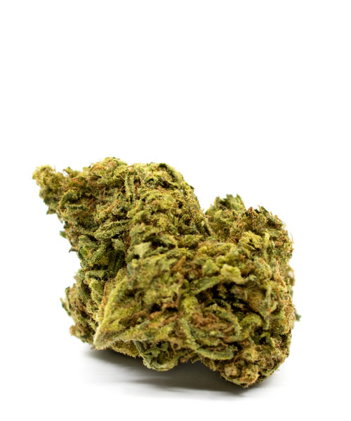 Apricot Jelly Strain