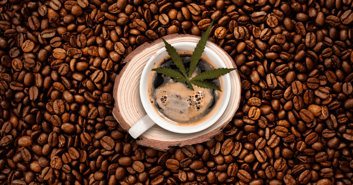 Learn How To Make Cannabis-Infused Coffee