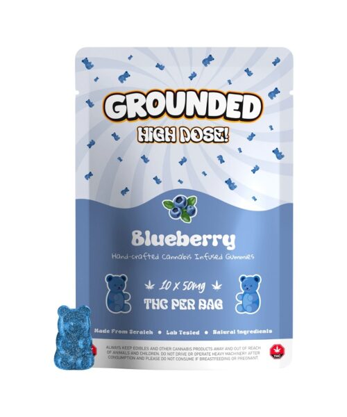 Grounded High Dose Bears – Blueberry 500mg Gummies