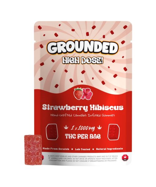 Grounded High Dose Bricks – Strawberry Hibiscus 1000mg Gummy