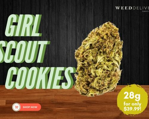 Girl Scout Cookies WDV Mobie