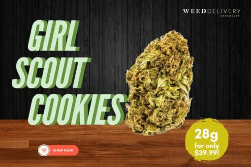 Girl Scout Cookies WDV Mobie