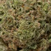 Sage & Sour (AA+)