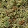 Sage & Sour (AA+)