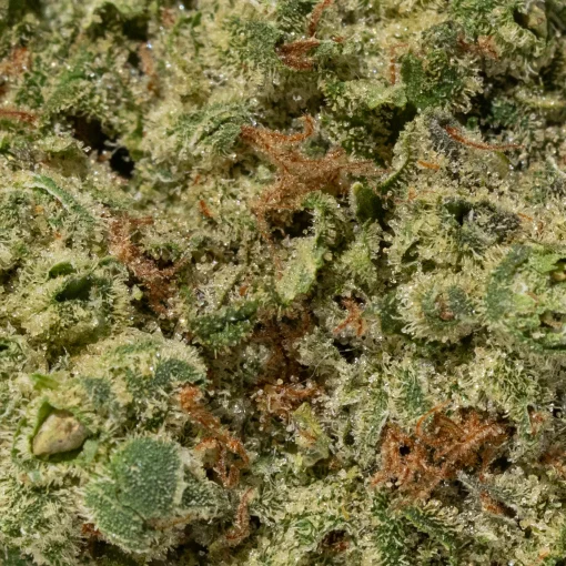 Sage & Sour (AA+)